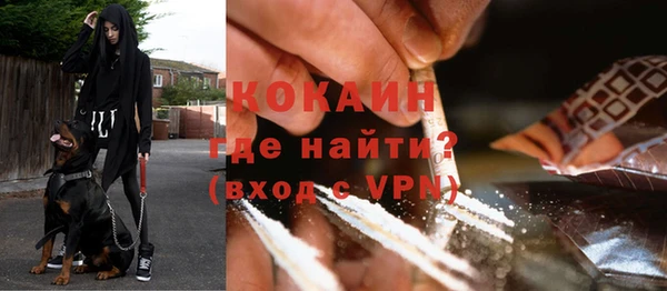PSILOCYBIN Аркадак