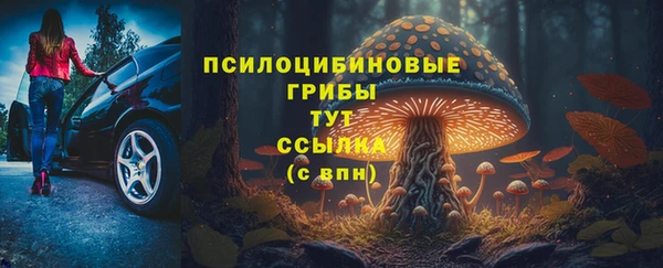 PSILOCYBIN Аркадак